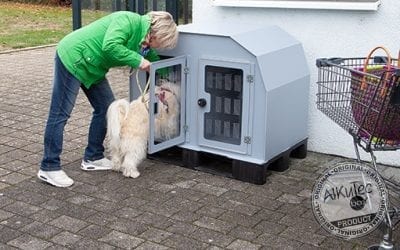 Hitze – die Gefahr fĂŒr Hunde im Auto