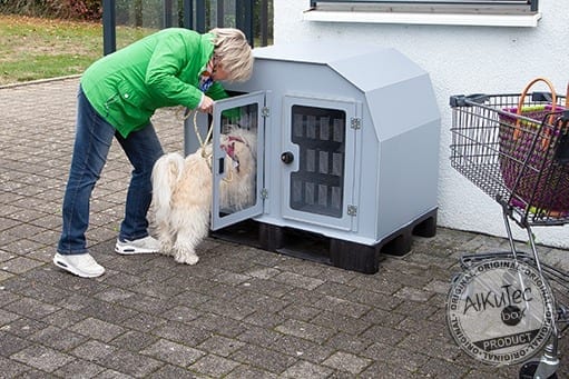 Hitze – die Gefahr für Hunde im Auto